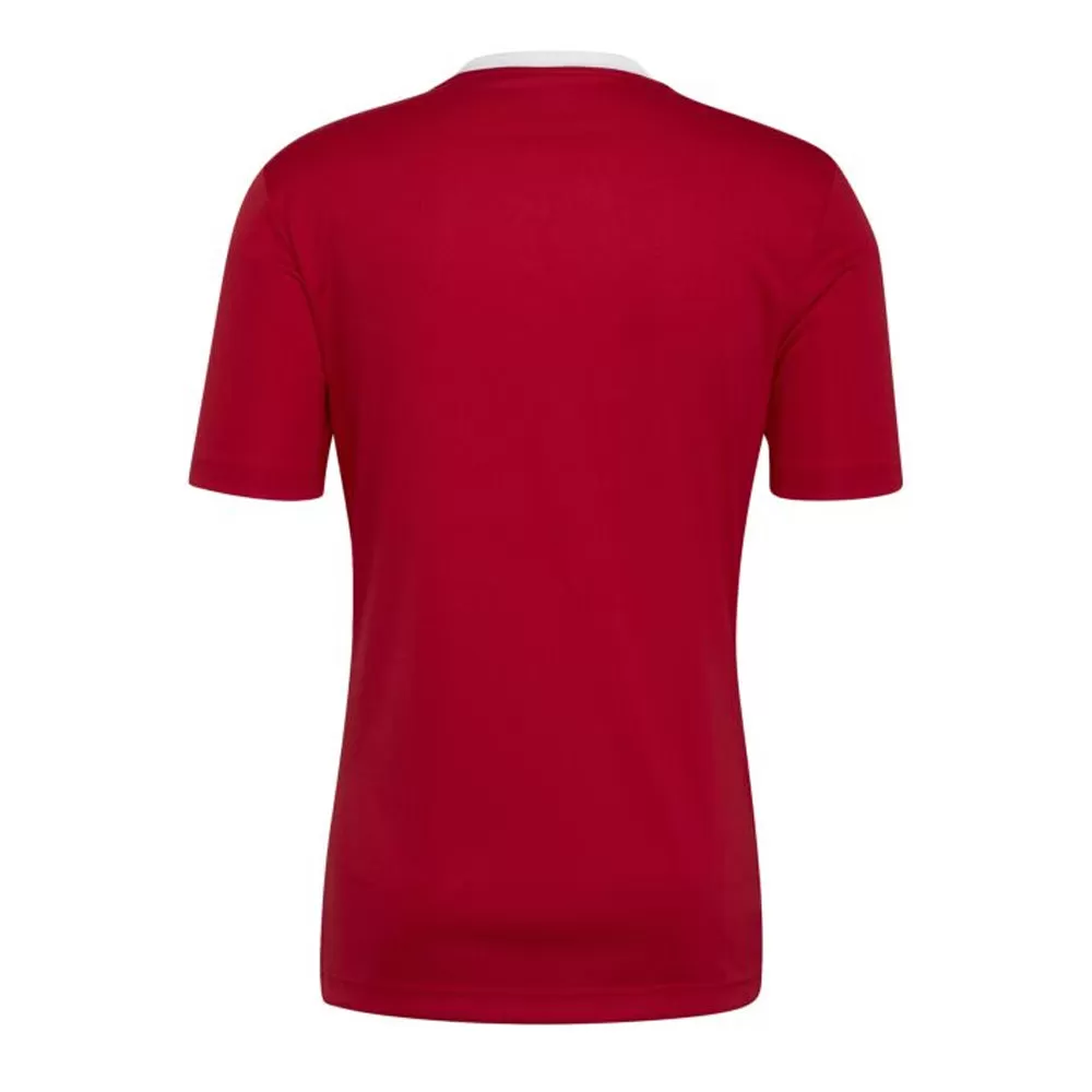 Adidas Adult Entrada 22 Jersey (Red/White)