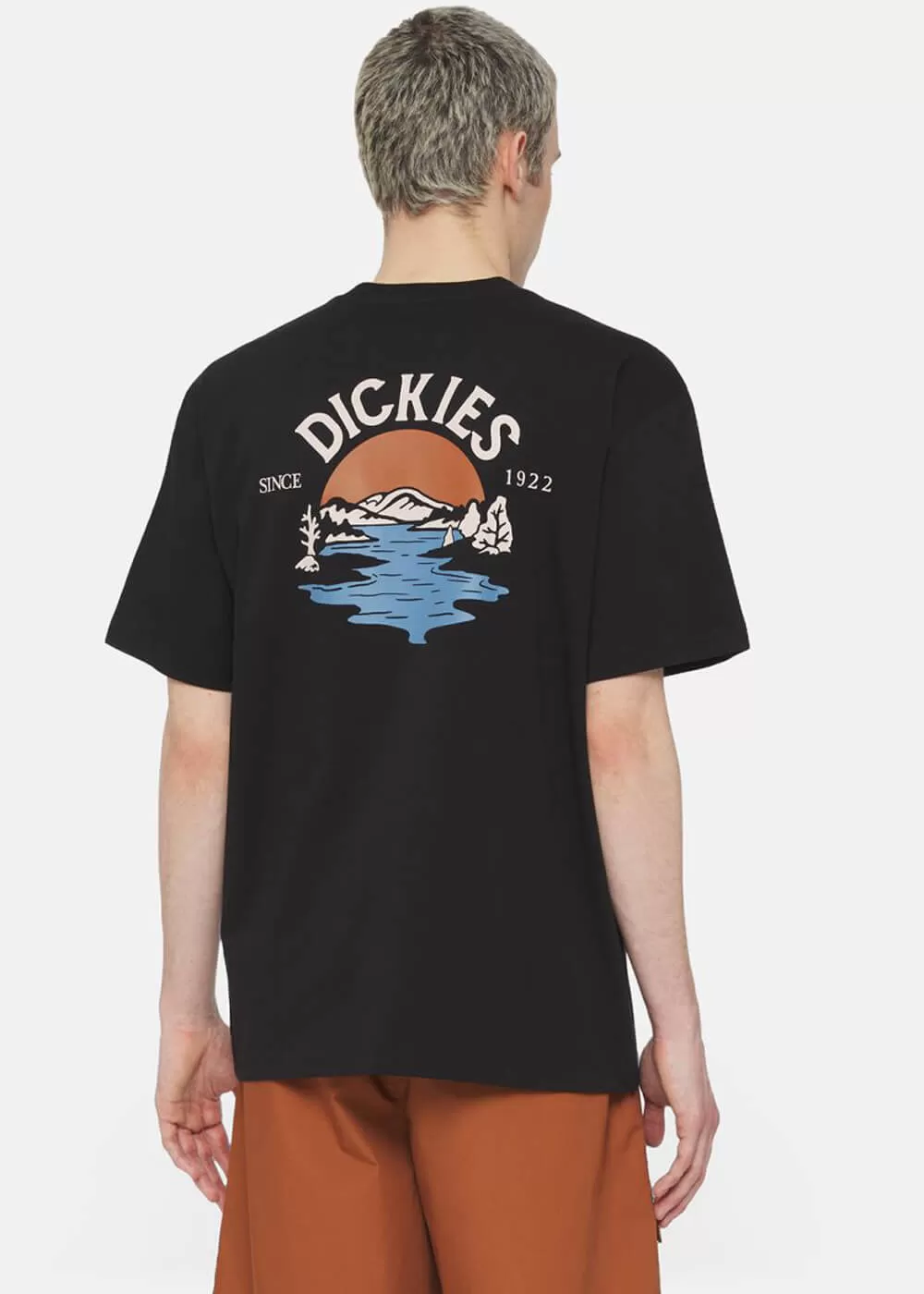 Dickies Men's Beach T-Shirt Black