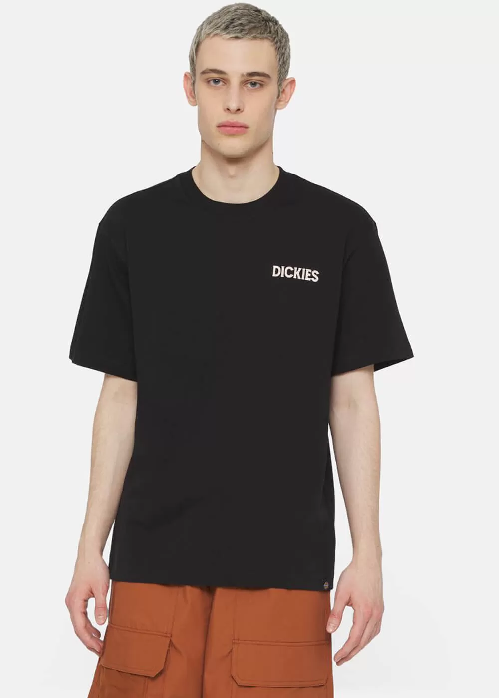 Dickies Men's Beach T-Shirt Black