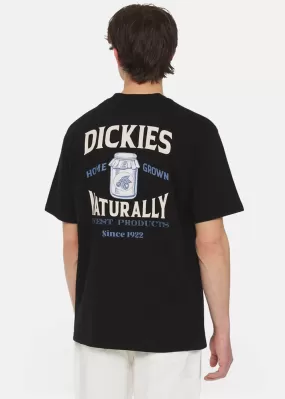 Dickies Men's Elliston Jar T-Shirt Black