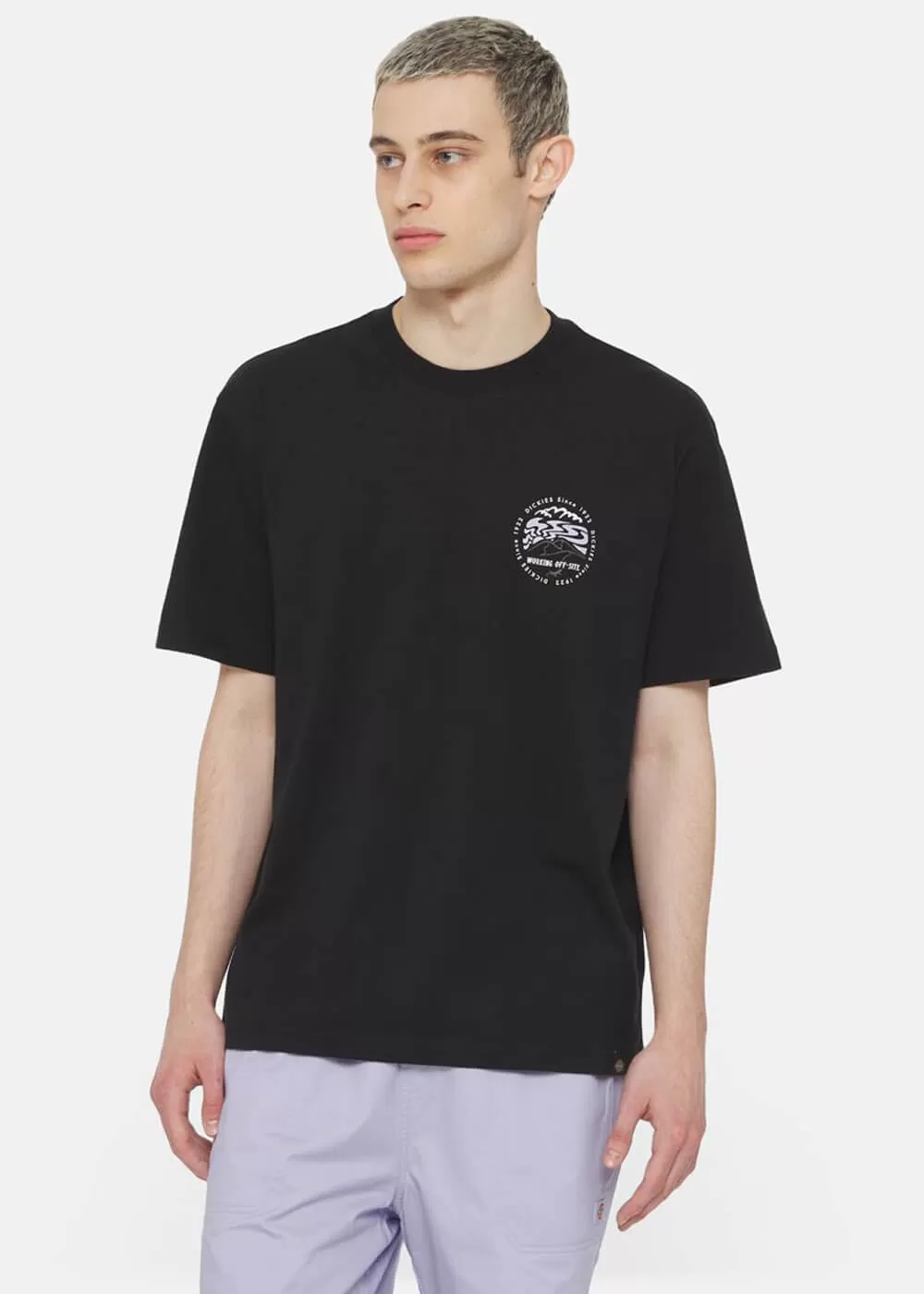 Dickies Men's Stanardsville T-Shirt Black