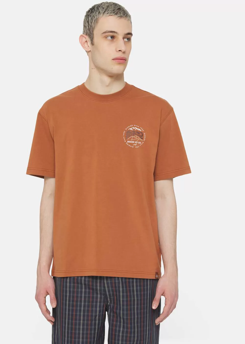 Dickies Men's Stanardsville T-Shirt Light Brown