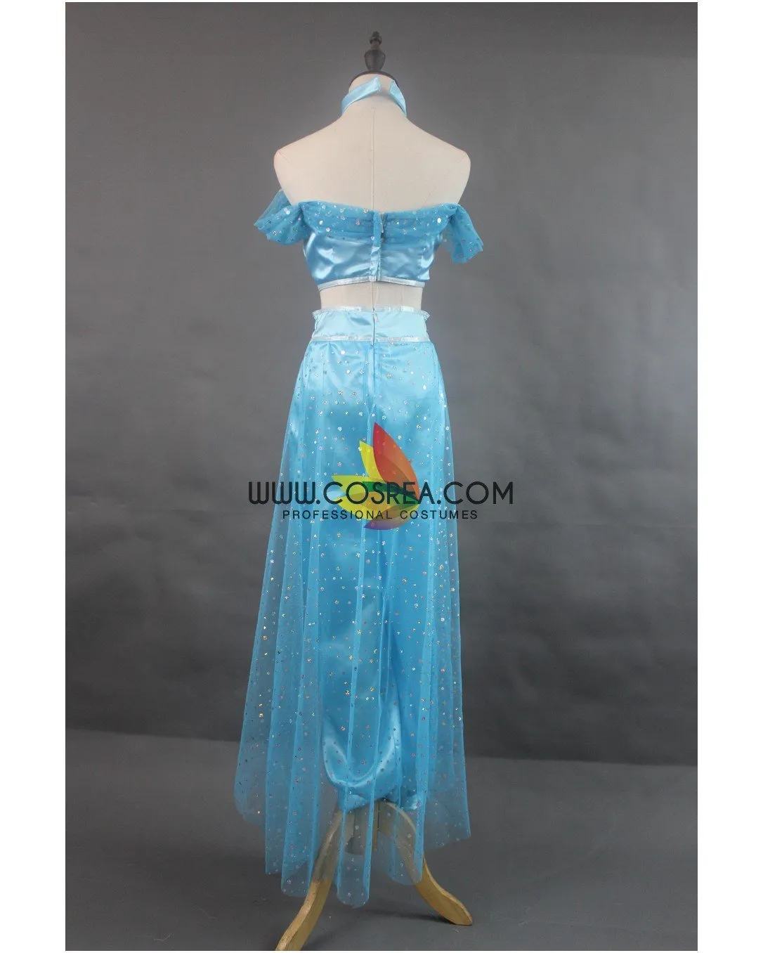 Princess Jasmine Aladdin Classic Satin Cosplay Costume